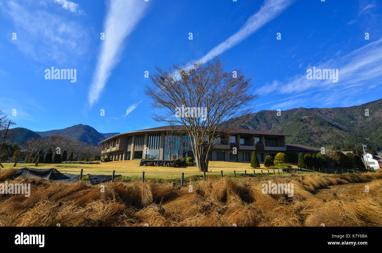 Yamanashi, Japon - Dec 4, 2016. vue de kawaguchiko parc à la journée ensoleillée à Yamanashi, au Japon. Le paysage naturel et les sites culturels de Yamanashi ar Banque D'Images