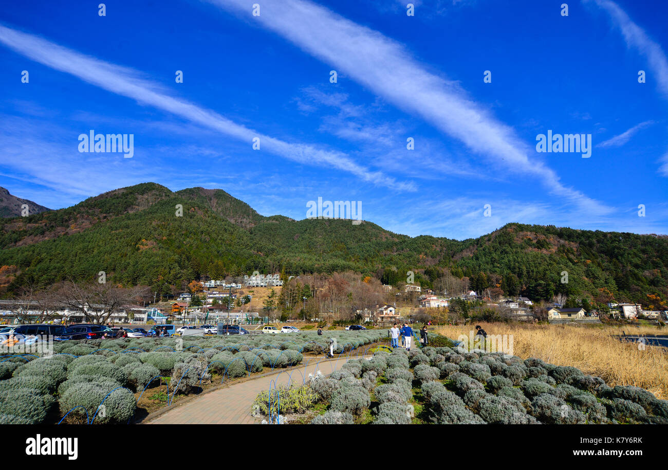 Yamanashi, Japon - Dec 4, 2016. vue de kawaguchiko township à Yamanashi, au Japon. la topographie naturelle de la région de Yamanashi est populaire pour tou Banque D'Images