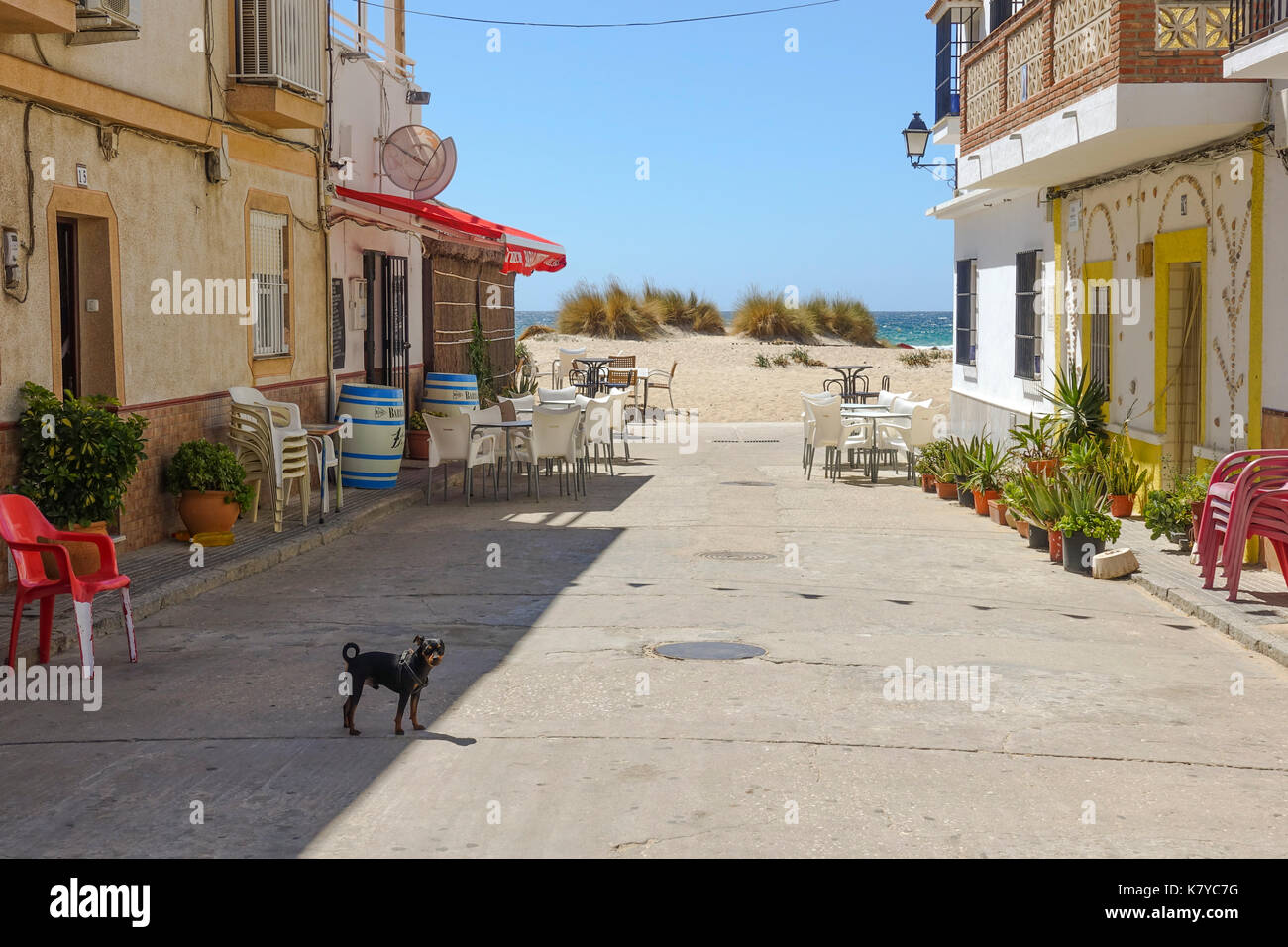 Zahara de los atunes, vue sur la rue avec des poissons et des restaurants de fruits de mer, Cadix, Andalousie, Espagne Banque D'Images