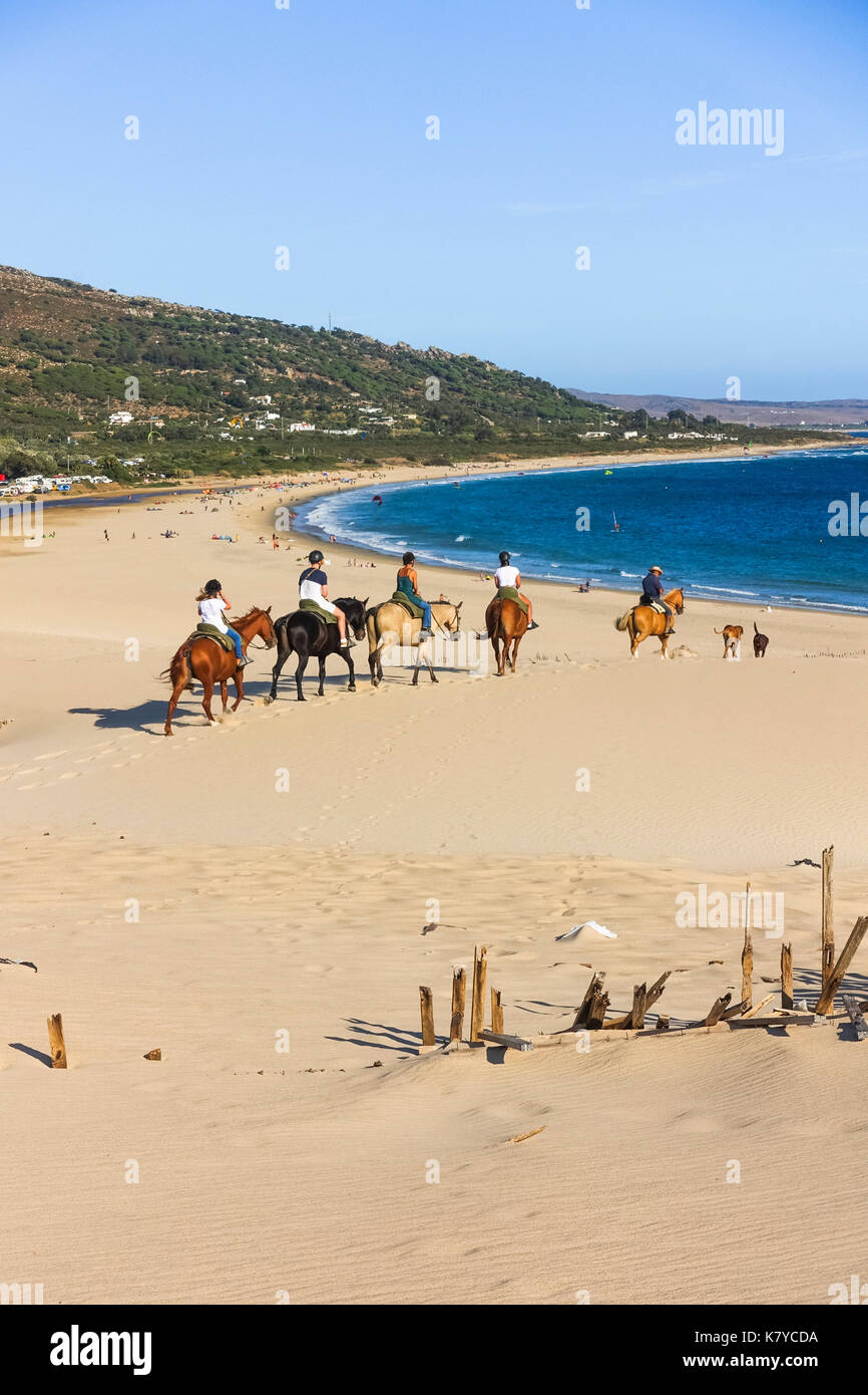 L'équitation dans les dunes à Punta Paloma, Valdevaqueros, la plage, la Province de Cadix, Costa de la Luz, Andalousie, Espagne Banque D'Images