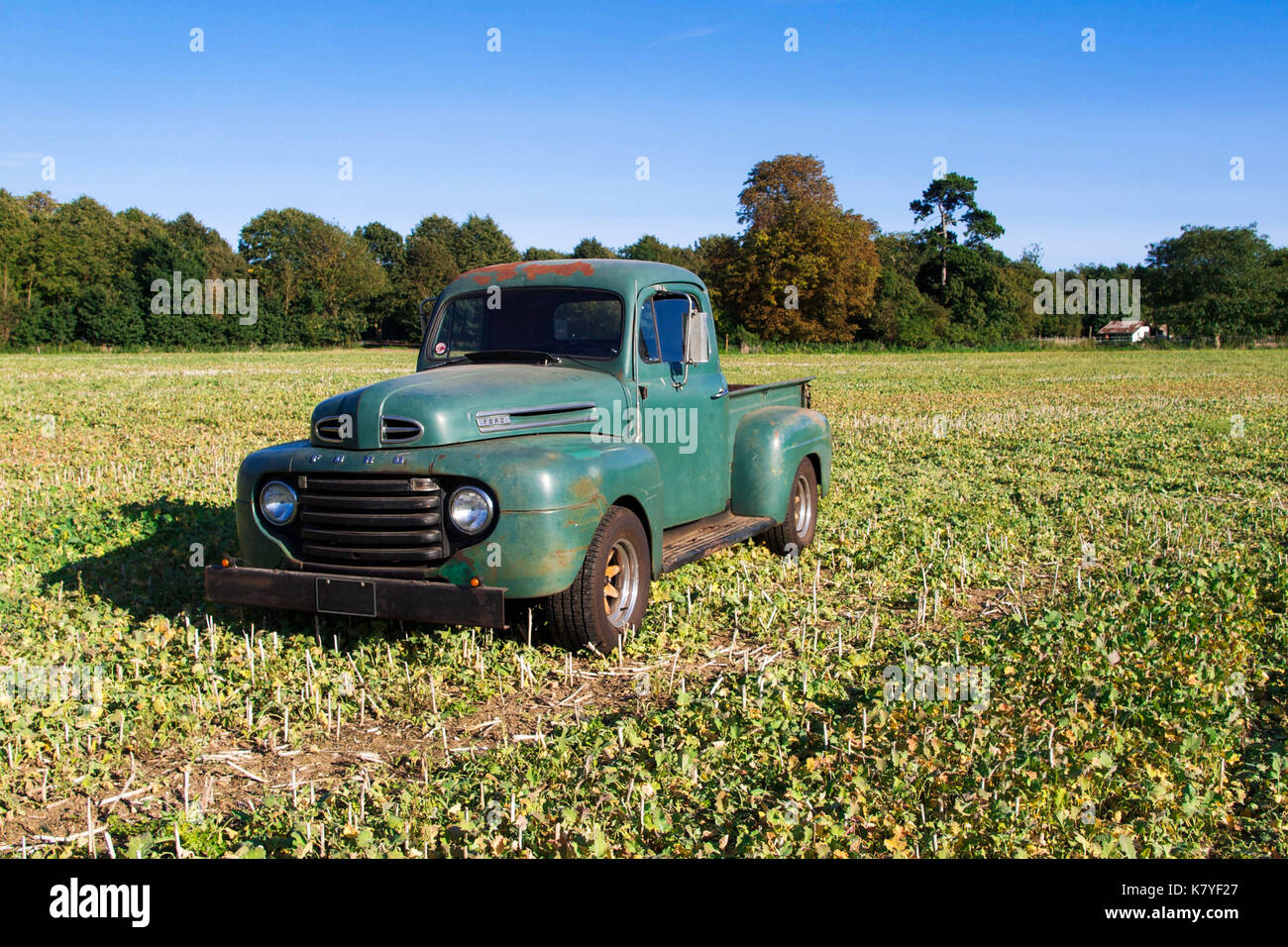 Ford f-1 ancien chariot avec roues à rayons en bois assis dans un champ Banque D'Images