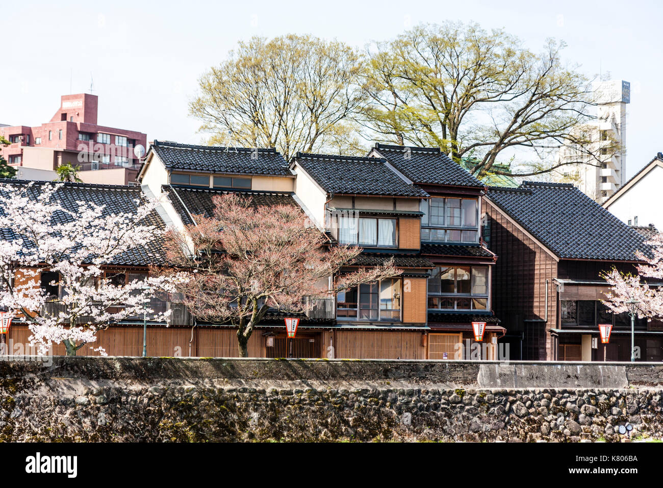 Le Japon, Kanazawa, destination touristique populaire Higashi Chaya. La rivière Asanogawa avec logement de style Edo au bord de l'eau et de fleurs de cerisiers. Ciel couvert. Banque D'Images