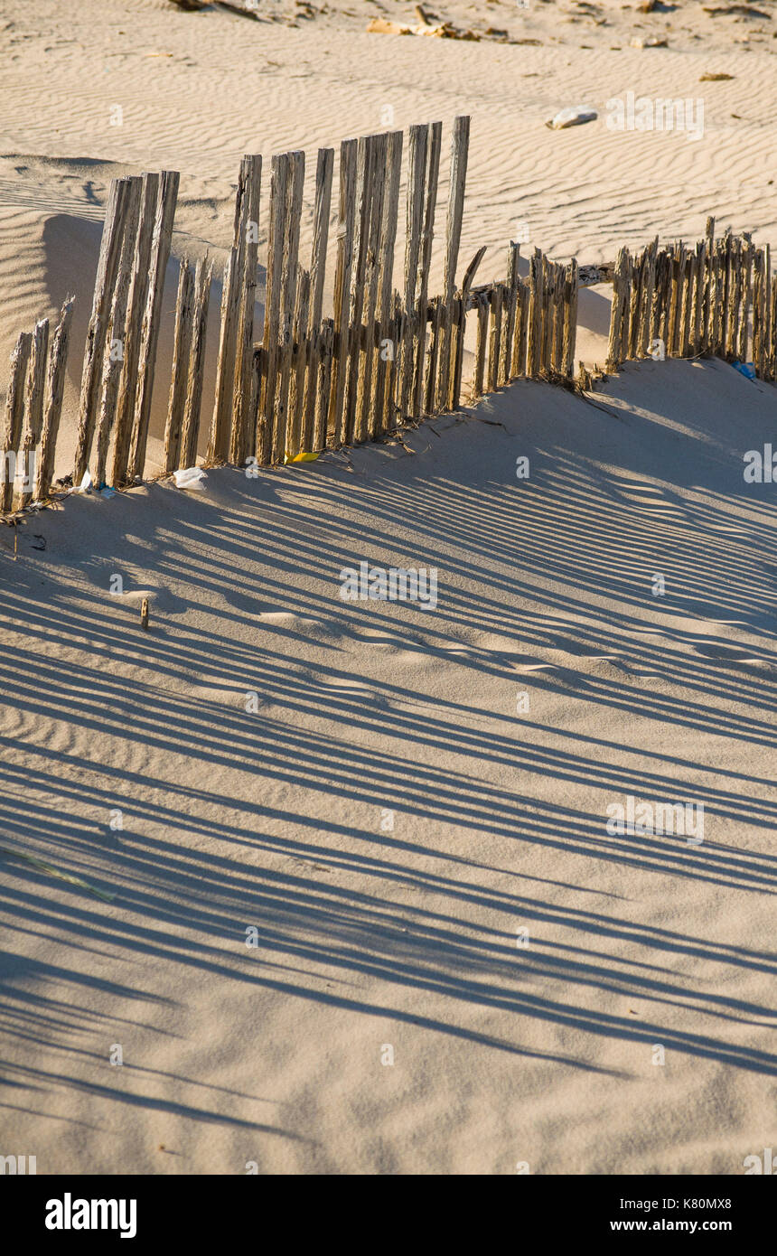 Clôtures en la protection de grandes dunes de Punta Paloma, Valdevaqueros, Cadix, Andalousie, espagne. Banque D'Images