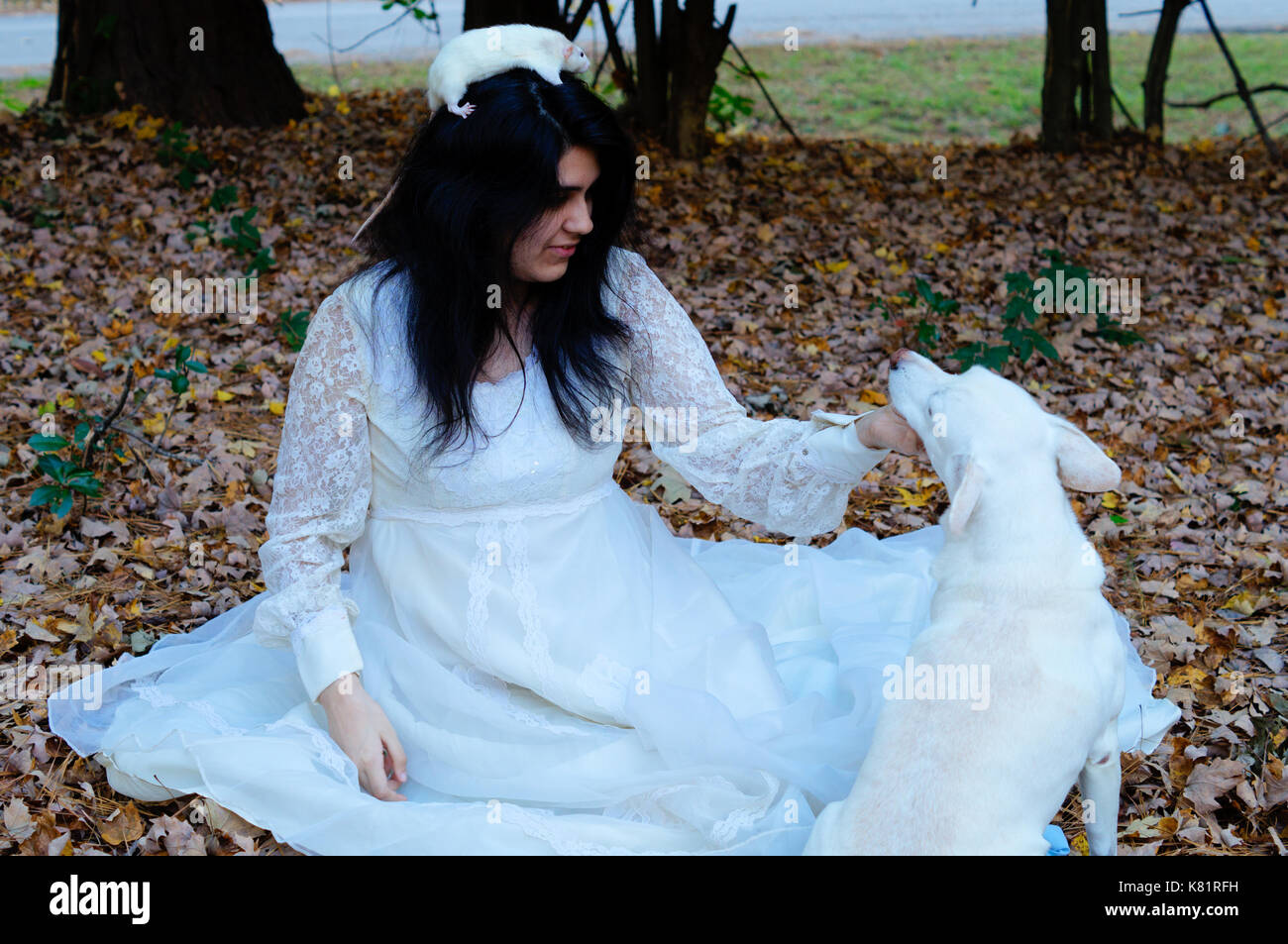 Teen girl sitting down de flatter un chien blanc tandis qu'un rat blanc est sur la tête. Banque D'Images