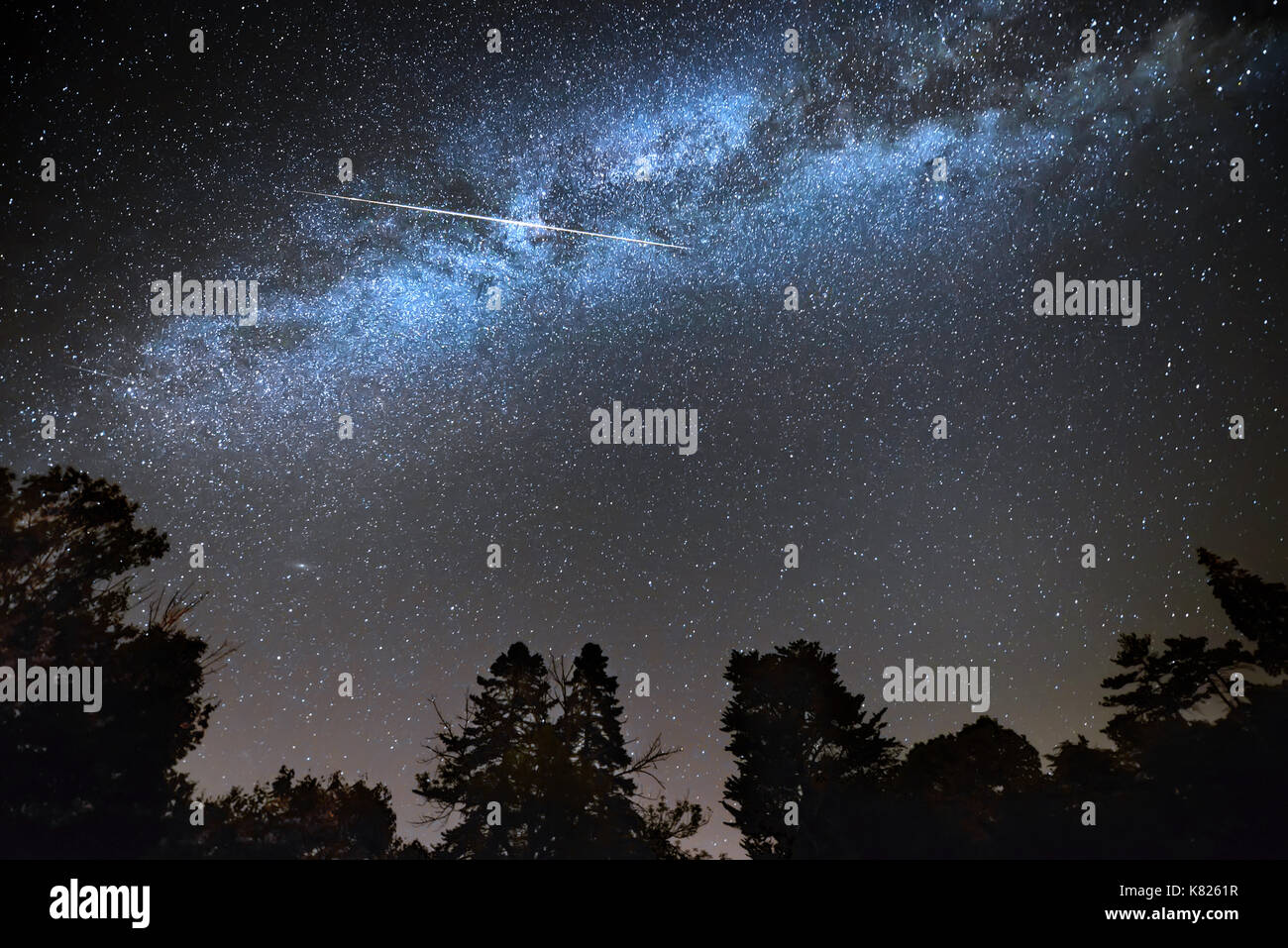 Étoile filante dans toute voie lactée ciel étoilé au-dessus des silhouettes d'arbres Banque D'Images