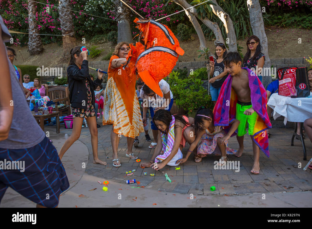 Fille hispanique, frapper un pinata pinata, remplis de bonbons des bonbons et des jouets, anniversaire, Castro Valley, comté d'Alameda, California, UNITED STATES Banque D'Images