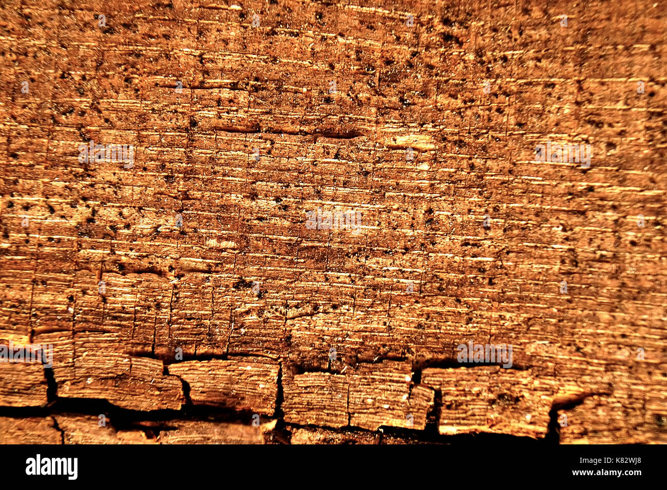 le-vieux-bois-texture-avec-des-mod-les-naturels-et-des-fissures-sur-la