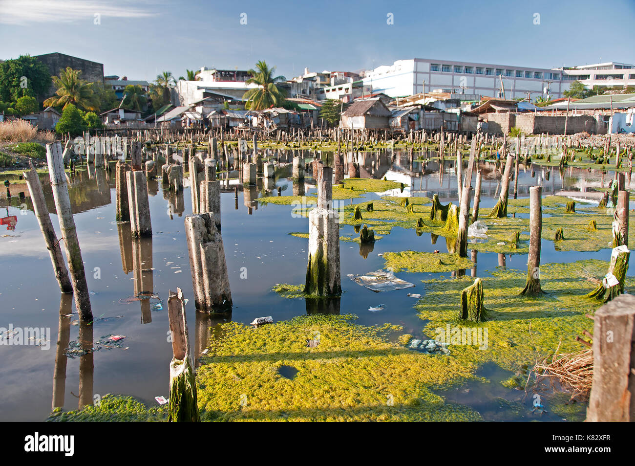 Swamp shopping Banque D'Images