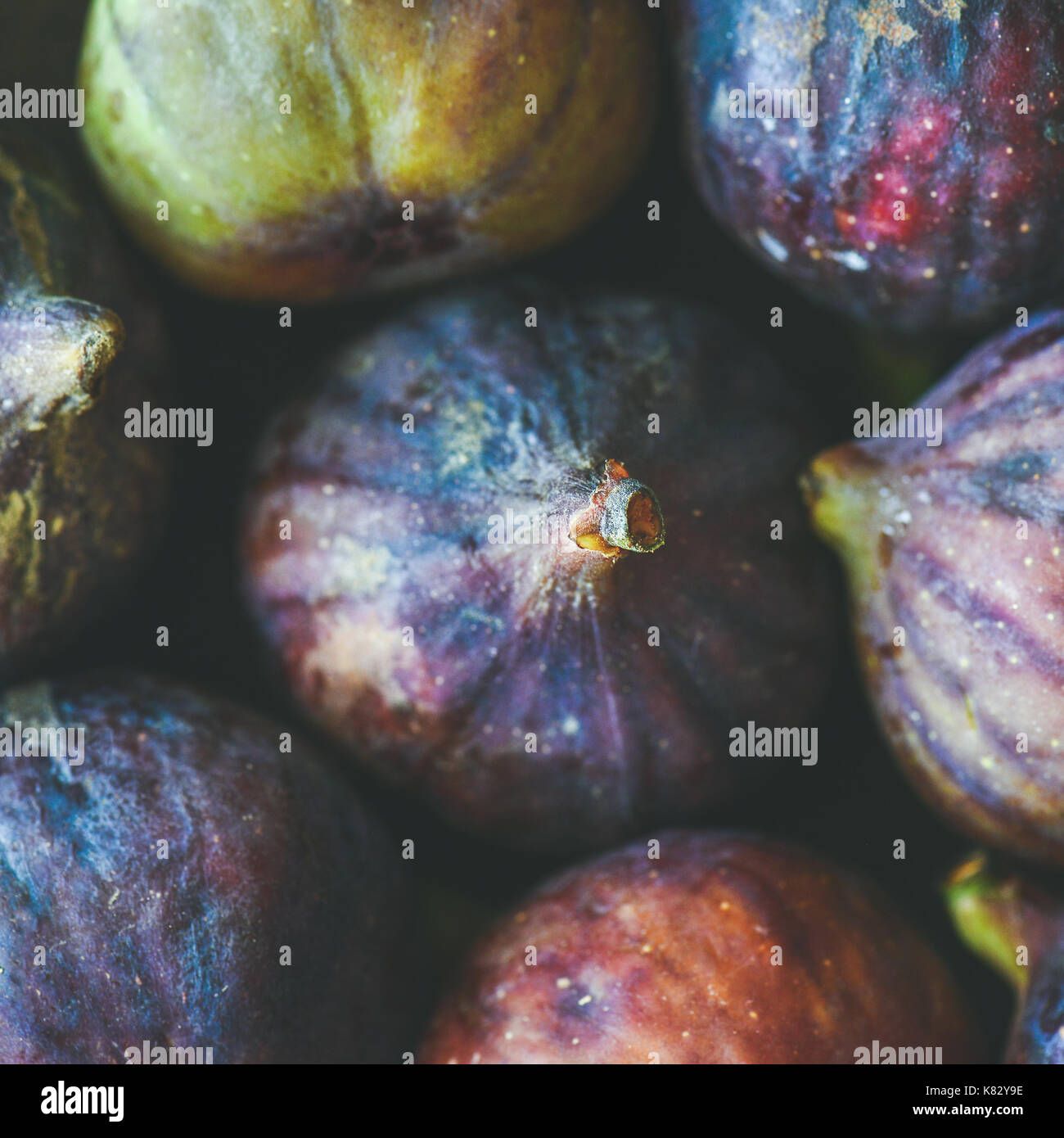 Close-up of fresh ripe purple figs, vu de dessus, carré petit Banque D'Images
