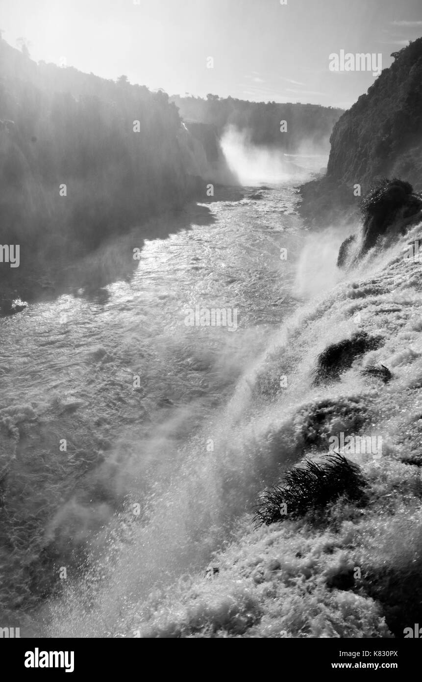 Chutes Moody Iguazu Banque D'Images