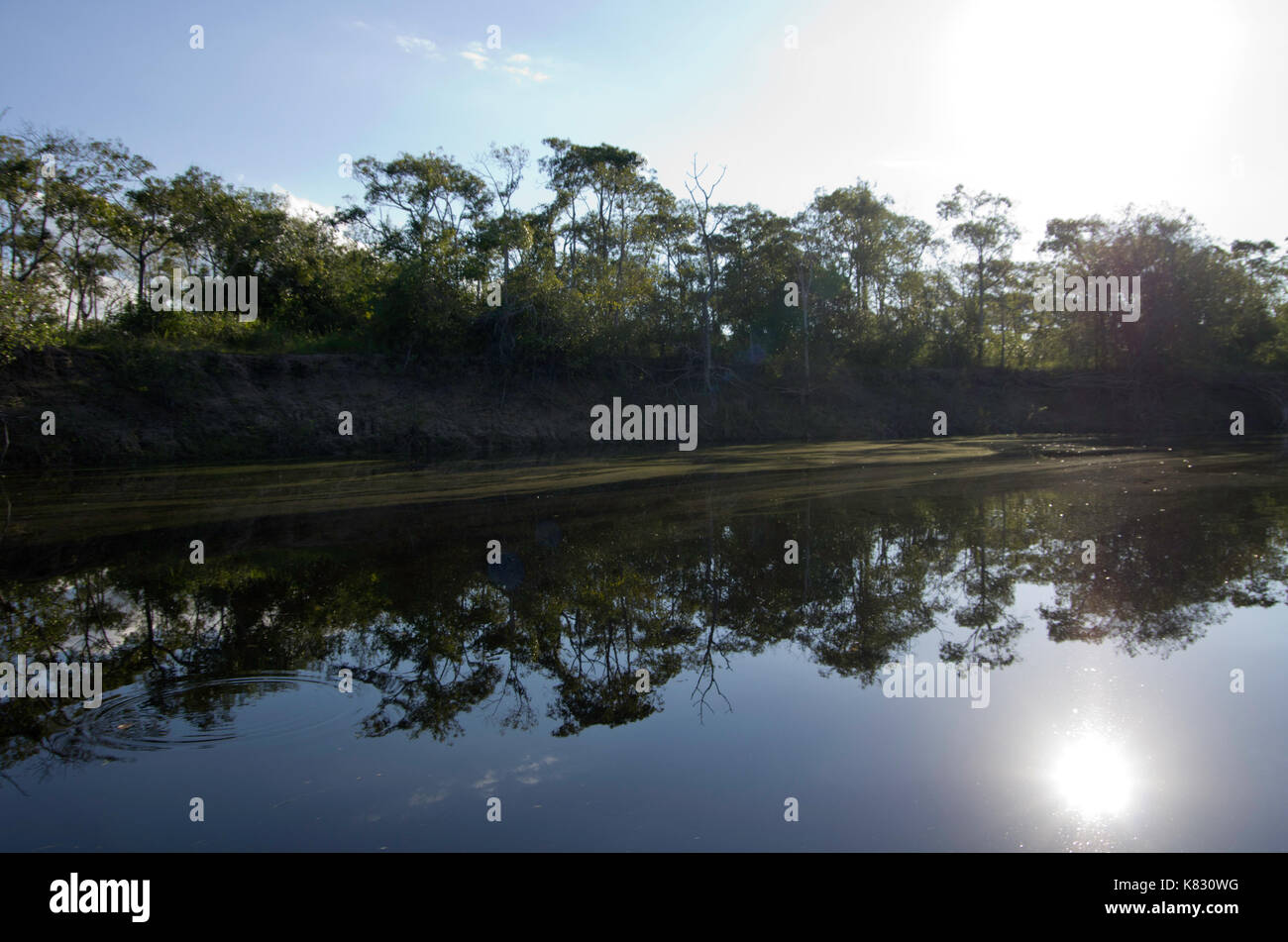 Une journée dans le Pantanal Banque D'Images