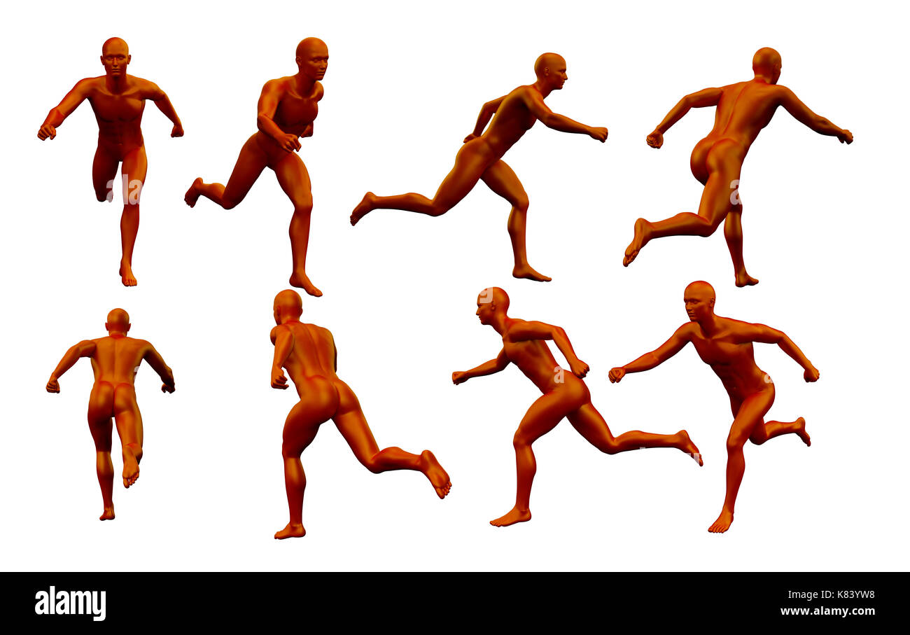 Anatomie du male Banque d'images détourées - Alamy