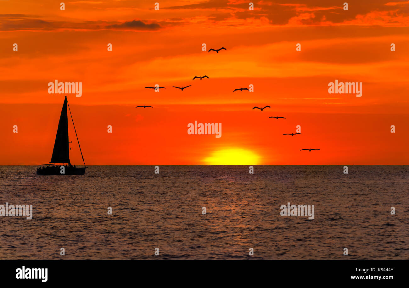 Voilier coucher du soleil est un silhoette d'un bateau naviguant le long de l'eau de mer au coucher du soleil avec une volée d'oiseaux suivant derrière. Banque D'Images