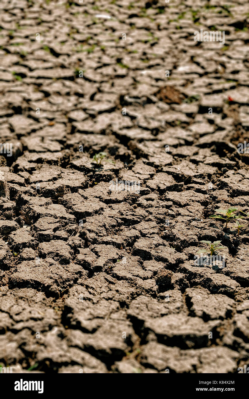 Fissures dans la sécheresse a touché terre Banque D'Images