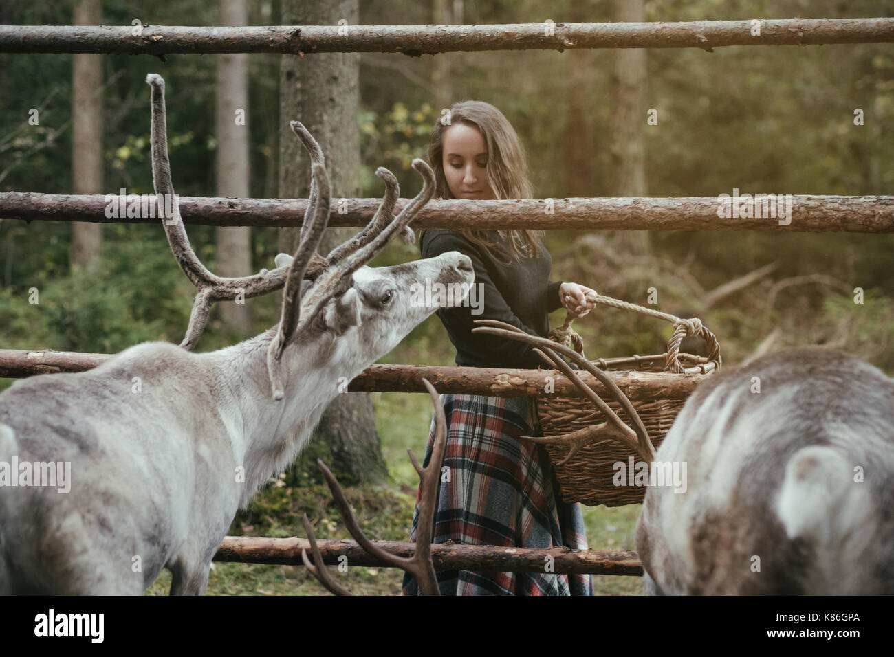 Jolie femme caucasienne dans rennes alimentation eco farm. Banque D'Images