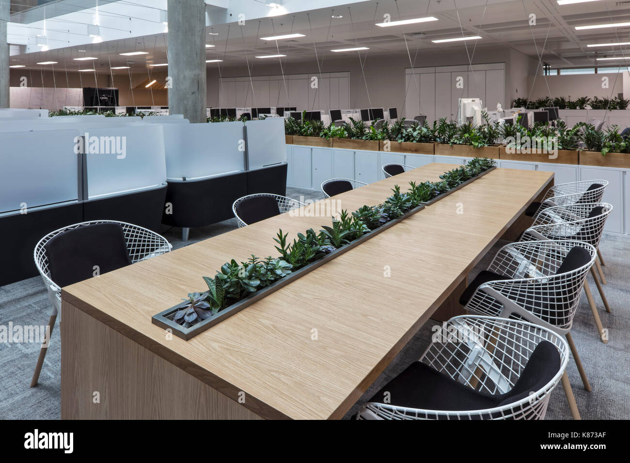 Bureau communal dans l'atrium. YOOX Net-A-Porter Bureaux, Londres, Royaume-Uni. Architecte : Grimshaw, 2017. Banque D'Images