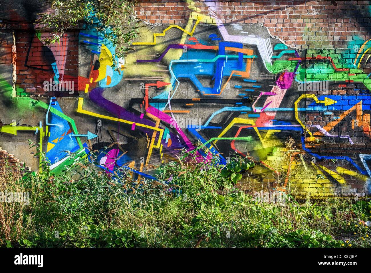 Au milieu des graffitis urbains colorés futuriste envahi par les plantes sauvages. Banque D'Images