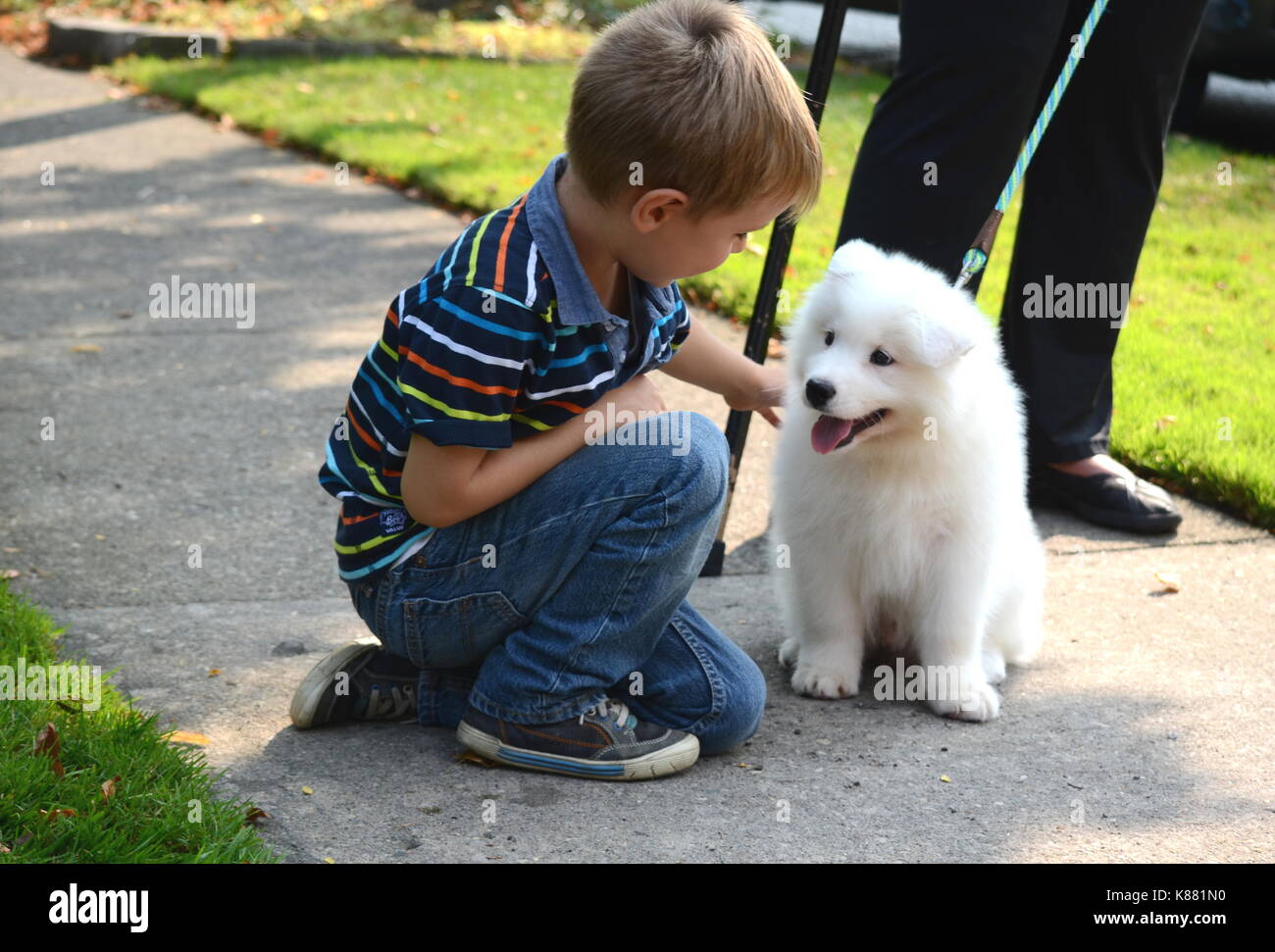 Portrait Of A Cute Heureux Et Souriant Garcon Qui Joue Avec Un Bebe Chien Spitz Japonais Photo Stock Alamy Portrait Of A Cute Heureux Et Souriant Garcon Qui Joue Avec Un Bebe Chien Spitz Japonais Photo Stock Alamy