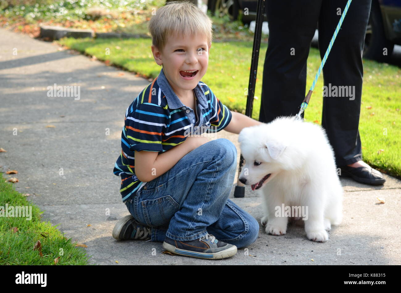 Portrait Of A Cute Heureux Et Souriant Garcon Qui Joue Avec Un Bebe Chien Spitz Japonais Photo Stock Alamy Portrait Of A Cute Heureux Et Souriant Garcon Qui Joue Avec Un Bebe Chien Spitz Japonais Photo Stock Alamy