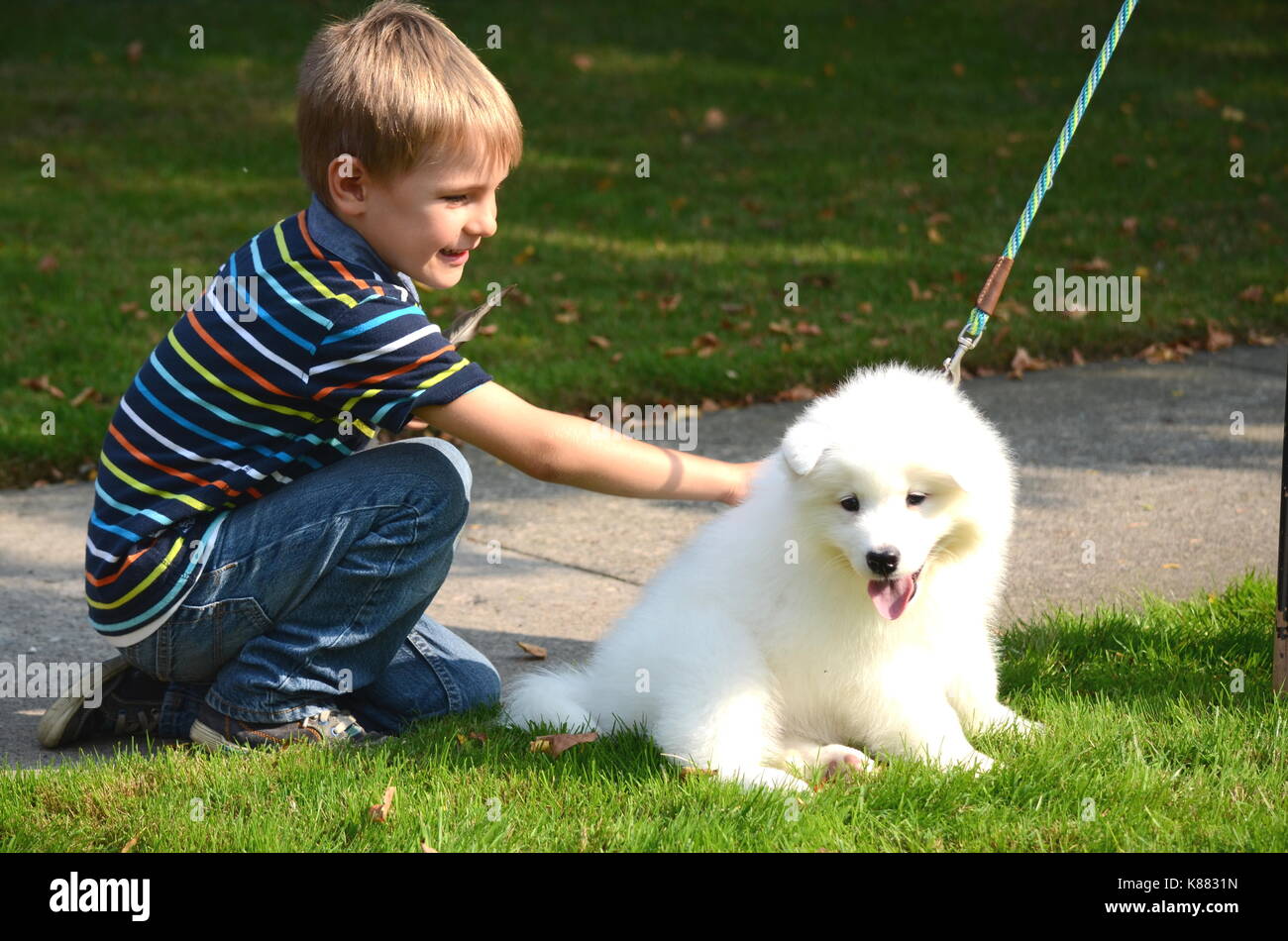 Portrait Of A Cute Heureux Et Souriant Garcon Qui Joue Avec Un Bebe Chien Spitz Japonais Photo Stock Alamy Portrait Of A Cute Heureux Et Souriant Garcon Qui Joue Avec Un Bebe Chien Spitz Japonais Photo Stock Alamy