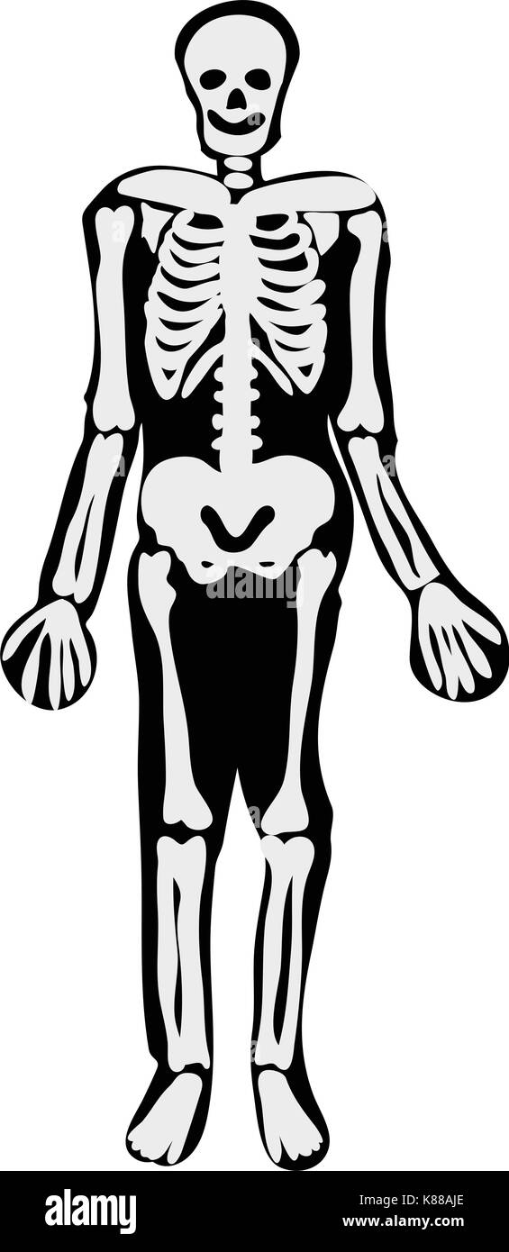 Squelette halloween icône symbole vecteur conception. Belle illustration isolé sur fond blanc Illustration de Vecteur