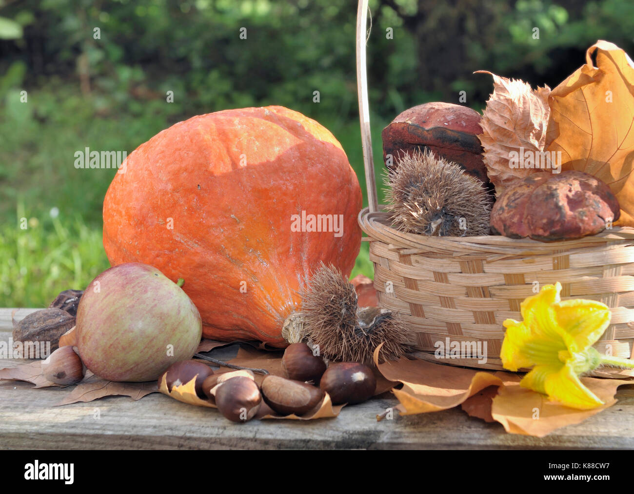 Fruits et légumes d'automne sur une table dans un jardin Banque D'Images