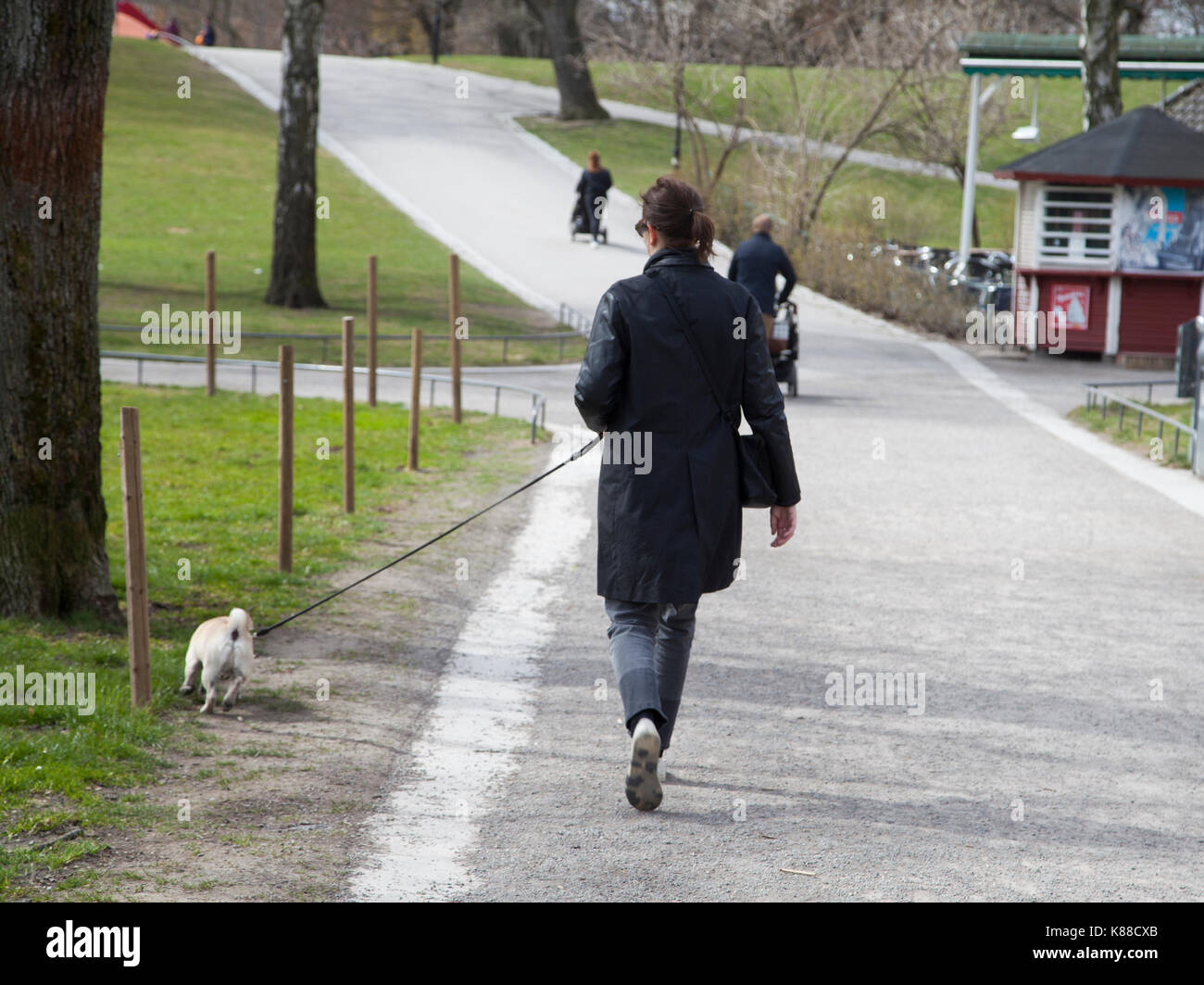 Propriétaire de chien promenades avec le chien dans stockholm vasaparken 2017 Banque D'Images