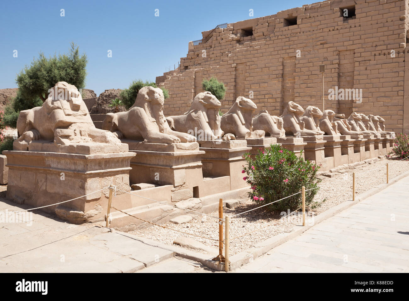 Sphinx à tête de bélier statue dans le temple de Karnak, Louxor, Egypte Banque D'Images