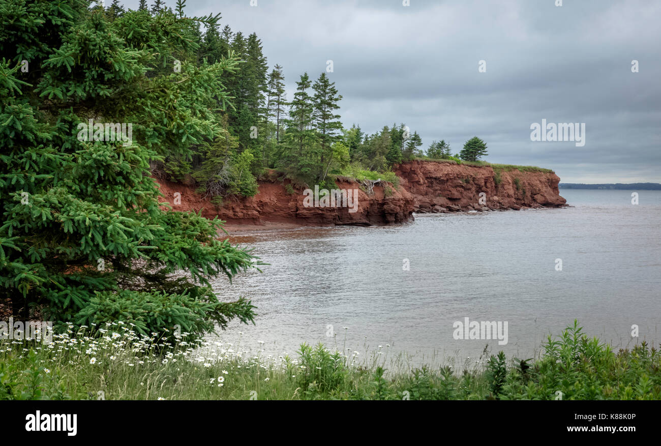 Falaises de terre rouge riche sur la rive nord de l'Île du Prince Édouard Banque D'Images