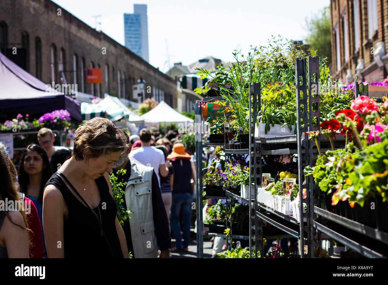 Les touristes et les habitants se bousculent pour l'espace entre les plantes à Columbia Road Flower Market Banque D'Images