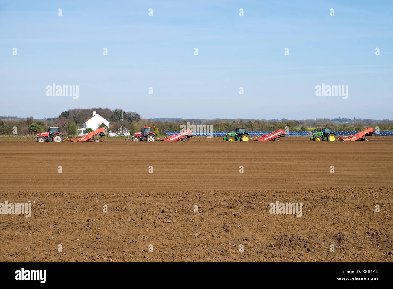 De-lapidation avant de planter les pommes de terre, Bawdsey, Suffolk, UK. Banque D'Images