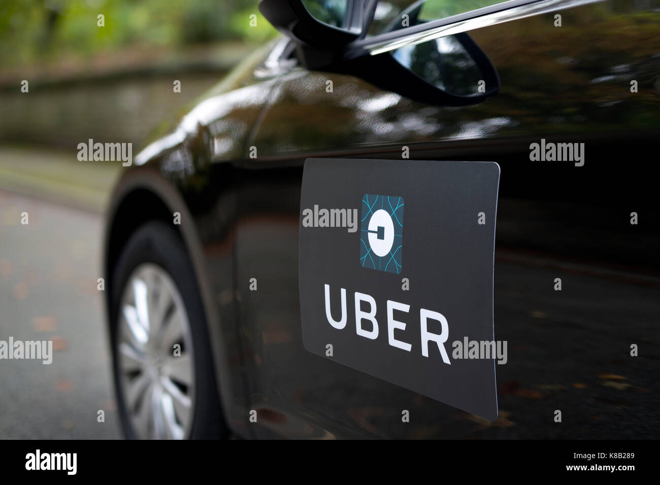 Une Volkswagen noire avec le logo Uber est utilisé comme un taxi et montre également un pilote dans une rue de banlieue verdoyante au Royaume-Uni (usage éditorial uniquement). Banque D'Images