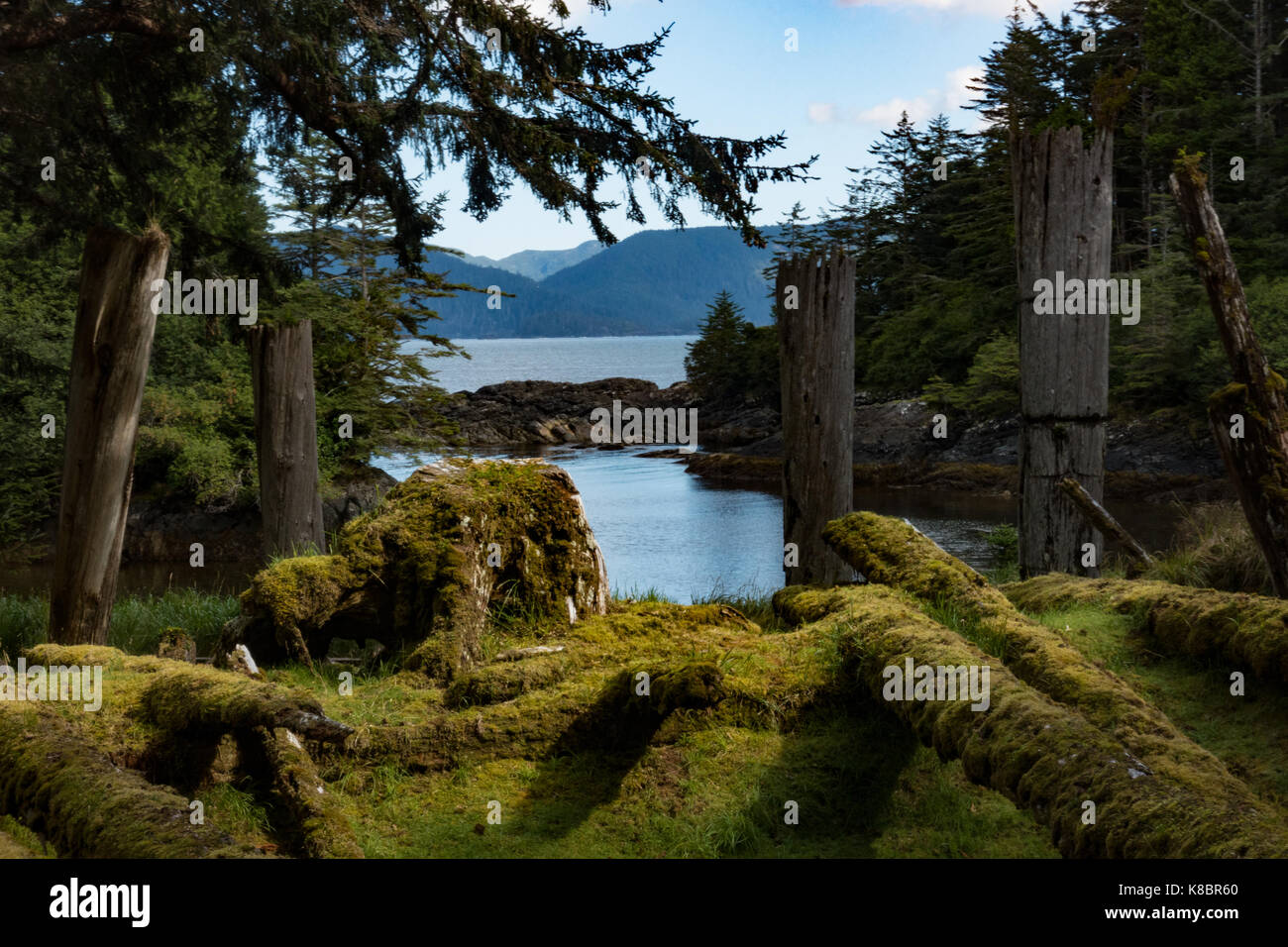 Des longues maisons abandonnées avec poteaux funéraires de SGang Gwaay World Heritage site, Haida Gwaii, Premières Nations, British Columbia, Canada Banque D'Images