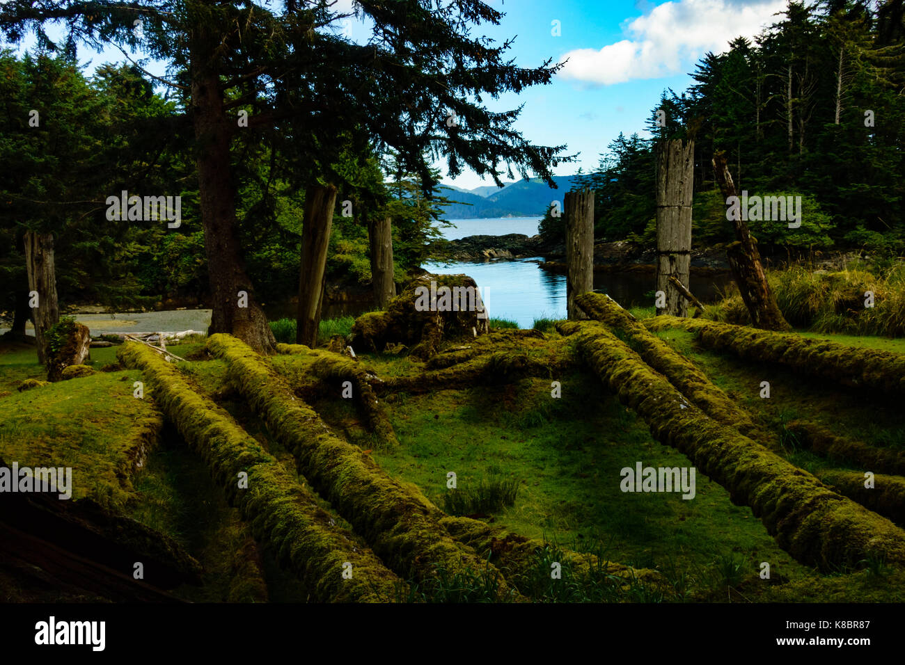 Des longues maisons abandonnées avec poteaux funéraires de SGang Gwaay World Heritage site, Haida Gwaii, Premières Nations, British Columbia, Canada Banque D'Images