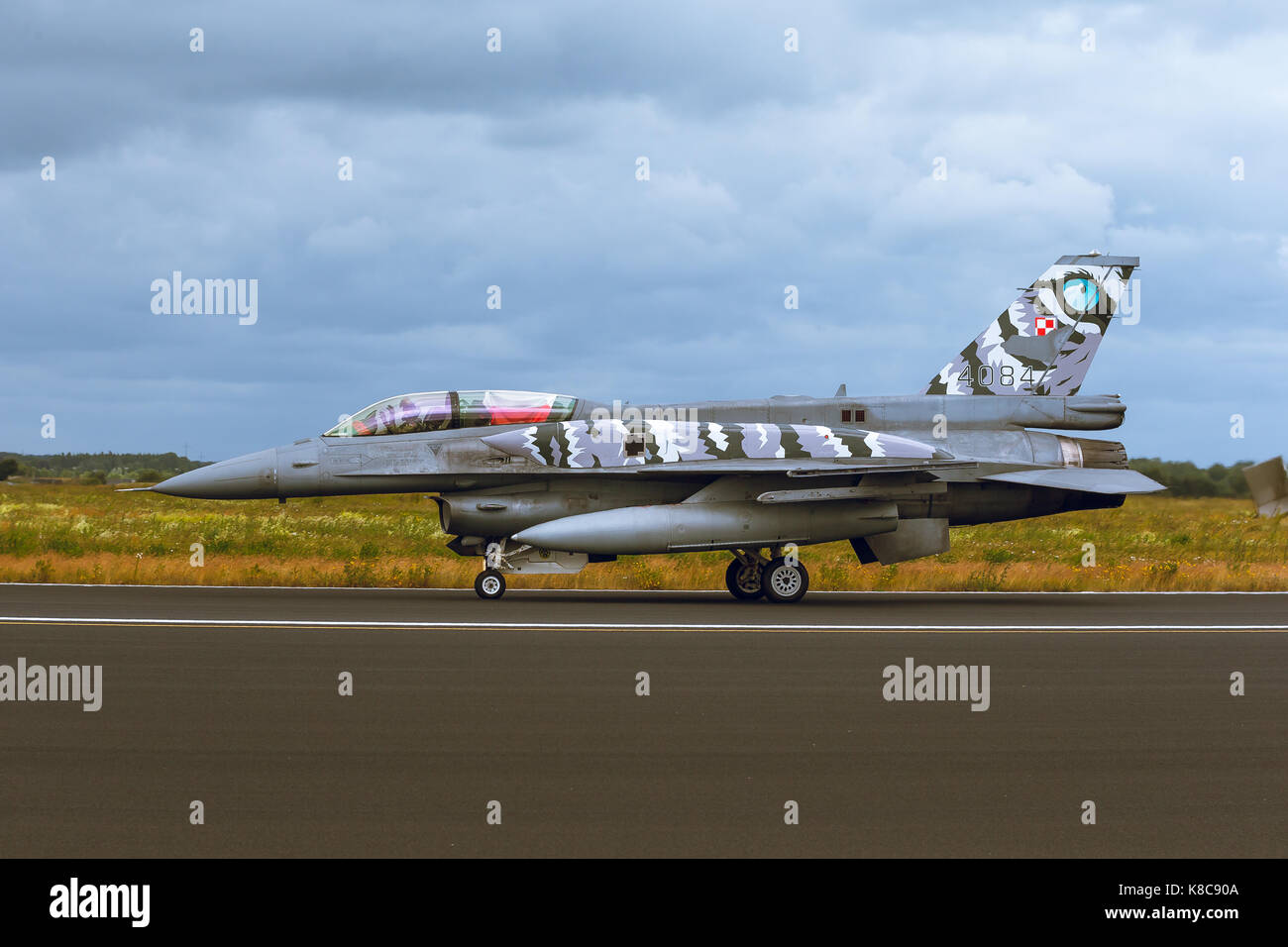 General Dynamics F-16 Fighting Falcon à l'otan tiger rencontrez m2014 Banque D'Images