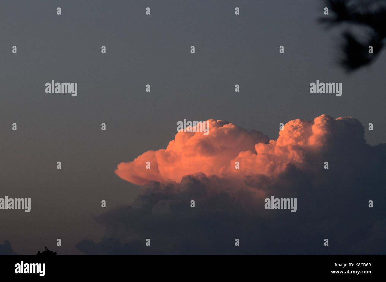 Cumulus congestus devient rouge au coucher du soleil Banque D'Images