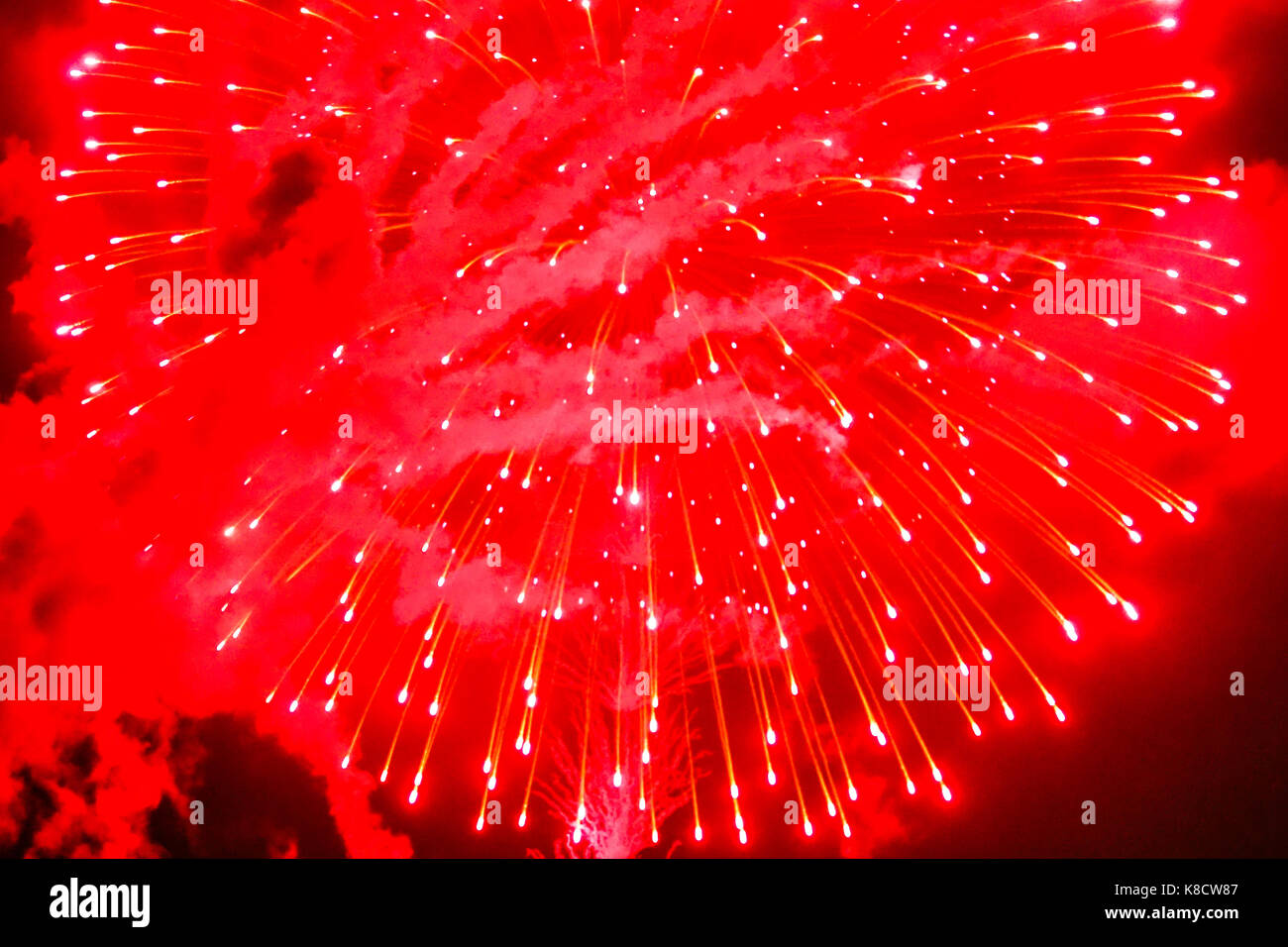 feu d’artifice Banque D'Images