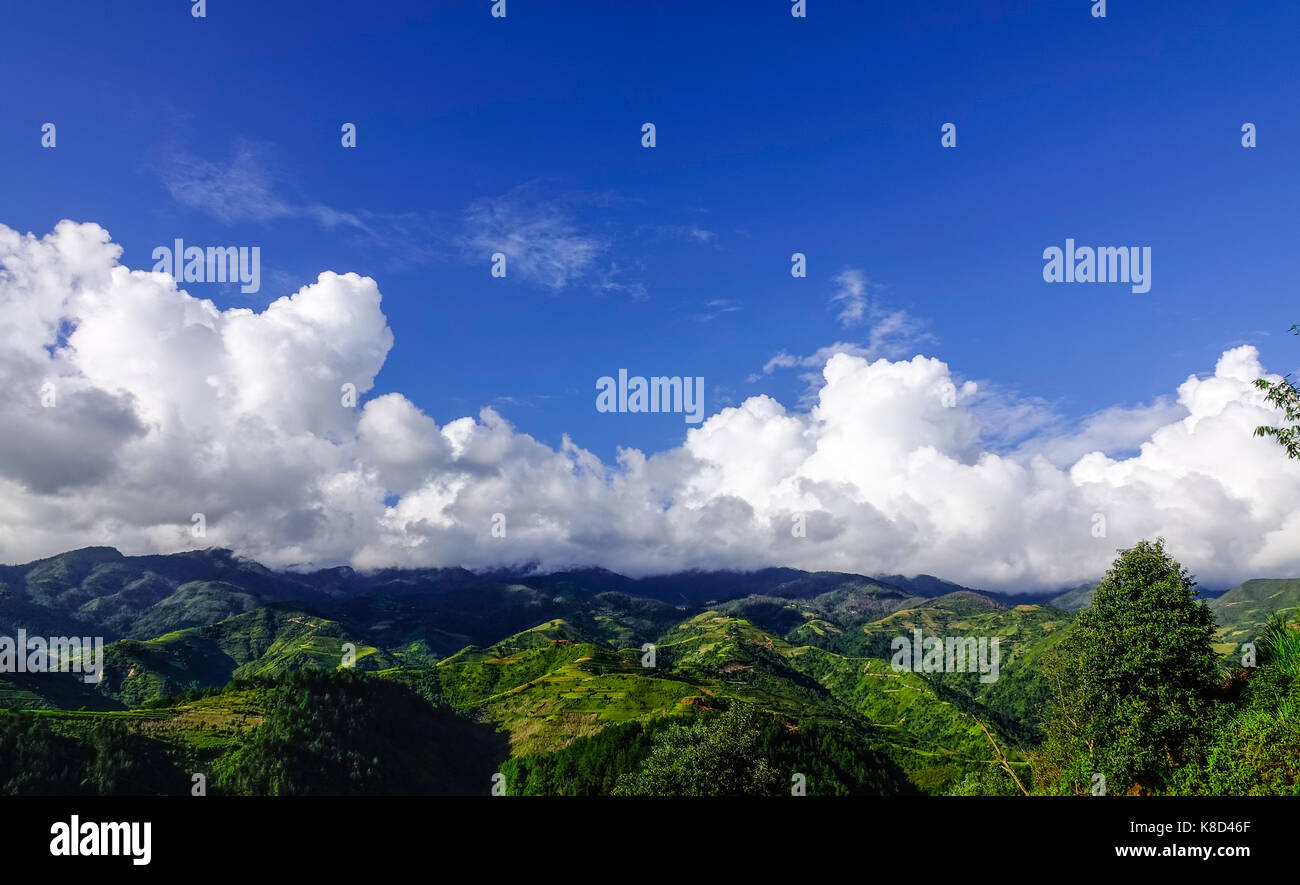 Paysage de rizières en terrasses sous ciel bleu à SAPA, Vietnam. le riz ...