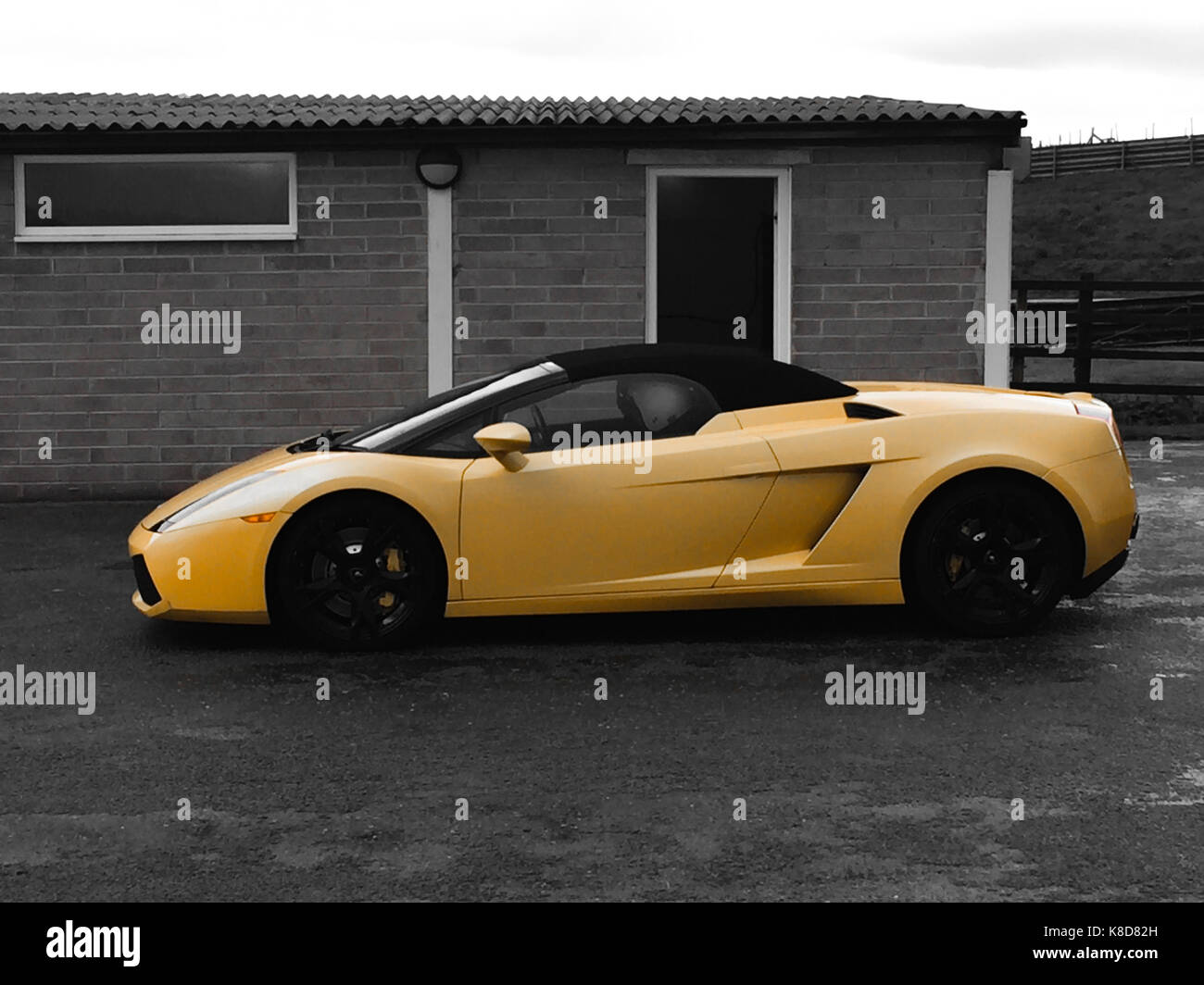 Lamborghini Gallardo dans jaune avec un fond noir et blanc Banque D'Images