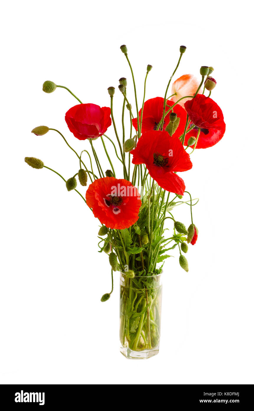 Bouquet De Coquelicots Rouge Dans Un Verre Photo Stock Alamy