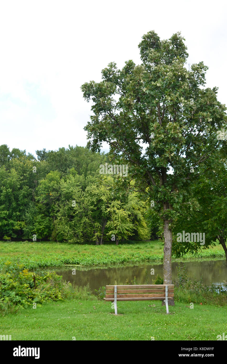 Banc et arbre dans le parc Banque D'Images