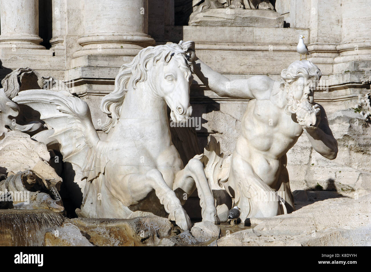 Italie. Rome. La fontaine de Trevi. baroque. Conçu par Nicola Salvi et achevé par Pietro Bracci. 1762. deux tritons guide le transport de Neptune, apprivoiser deux hippocampe. détail d'un triton avec un coquillage. Banque D'Images