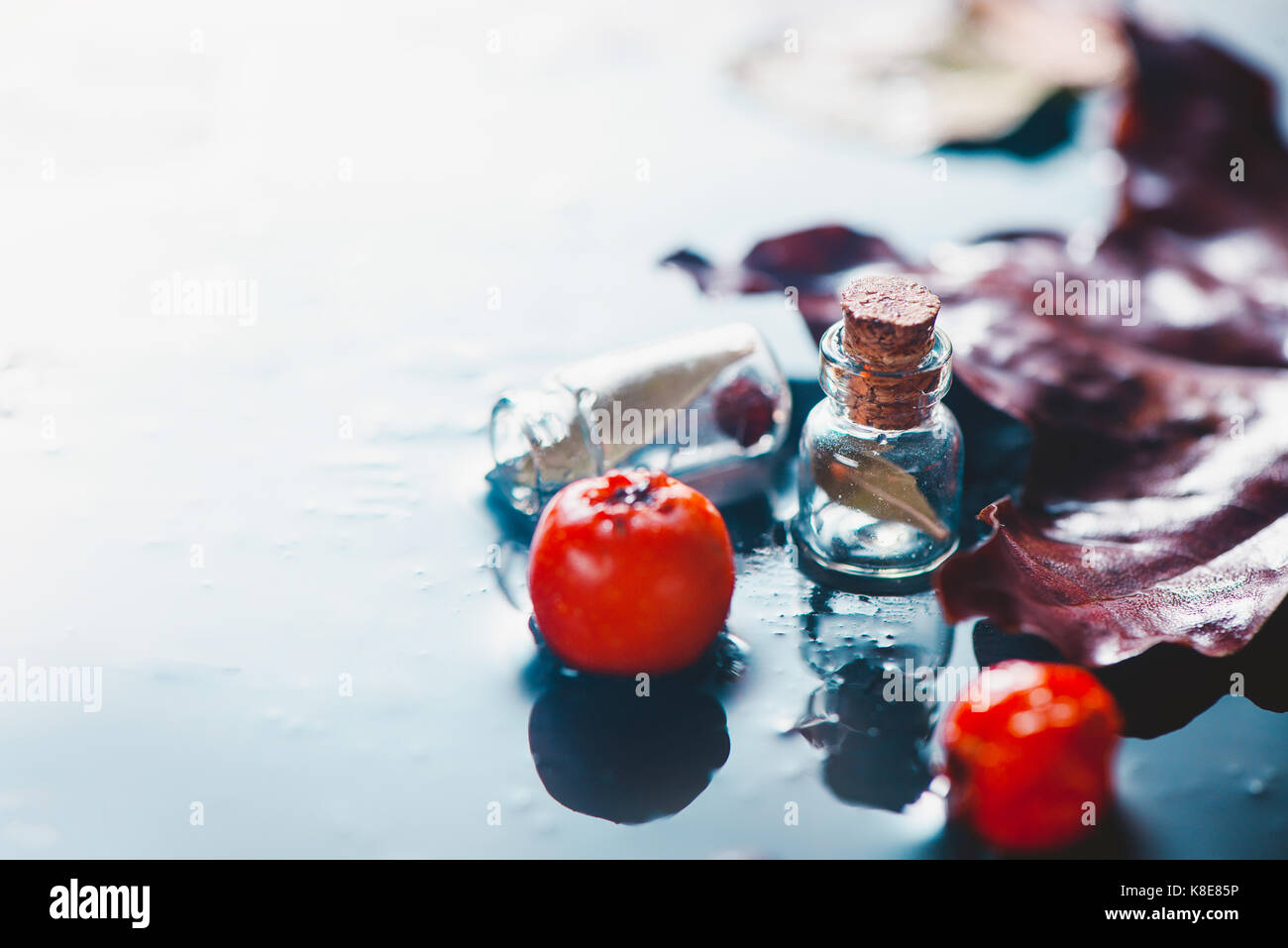 Automne pluvieux still life with fallen eaves, fruits rouges et gouttes d'eau sur un fond de pierre Banque D'Images