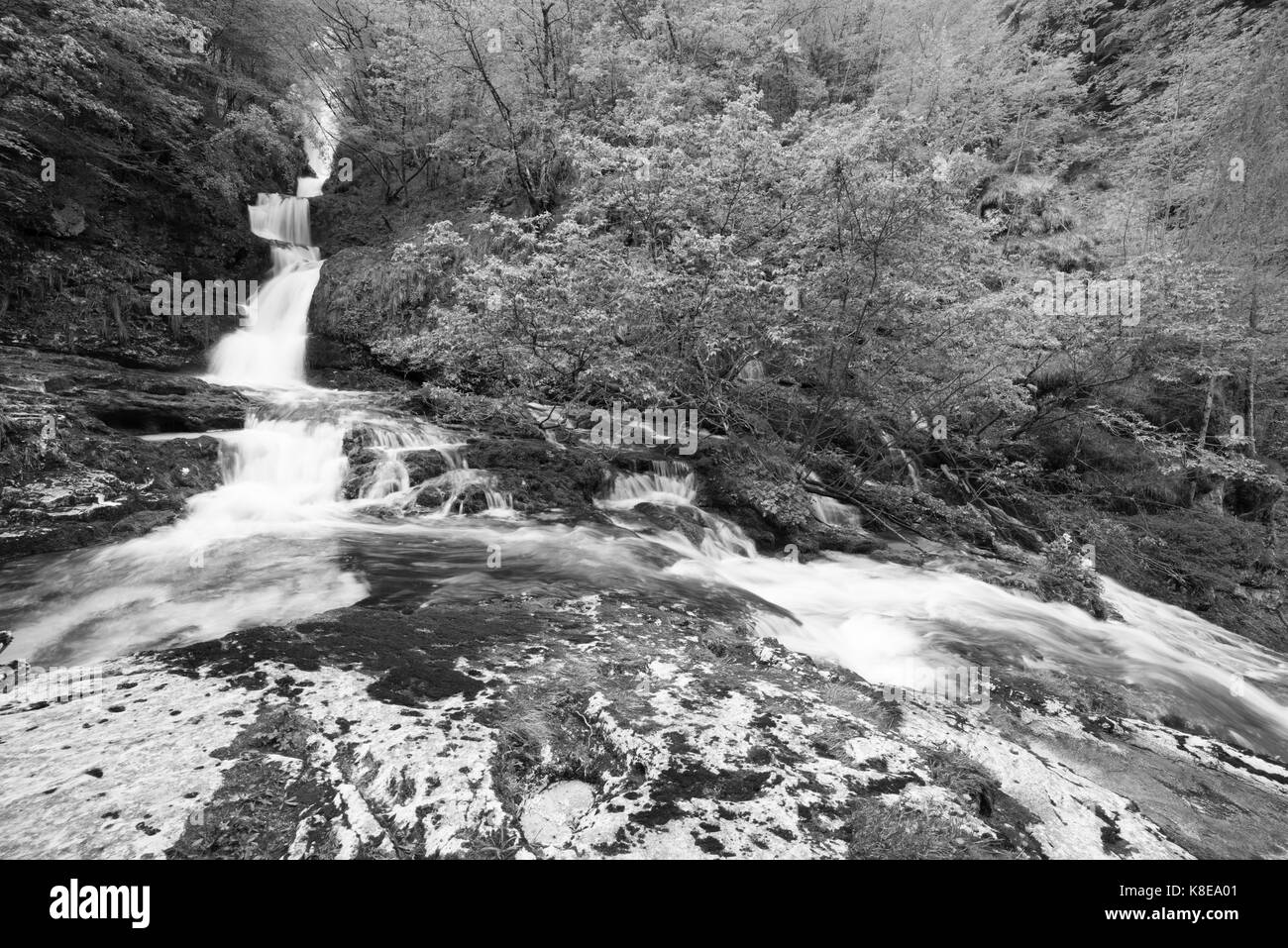 Jeux d'eau. stream et soie Banque D'Images