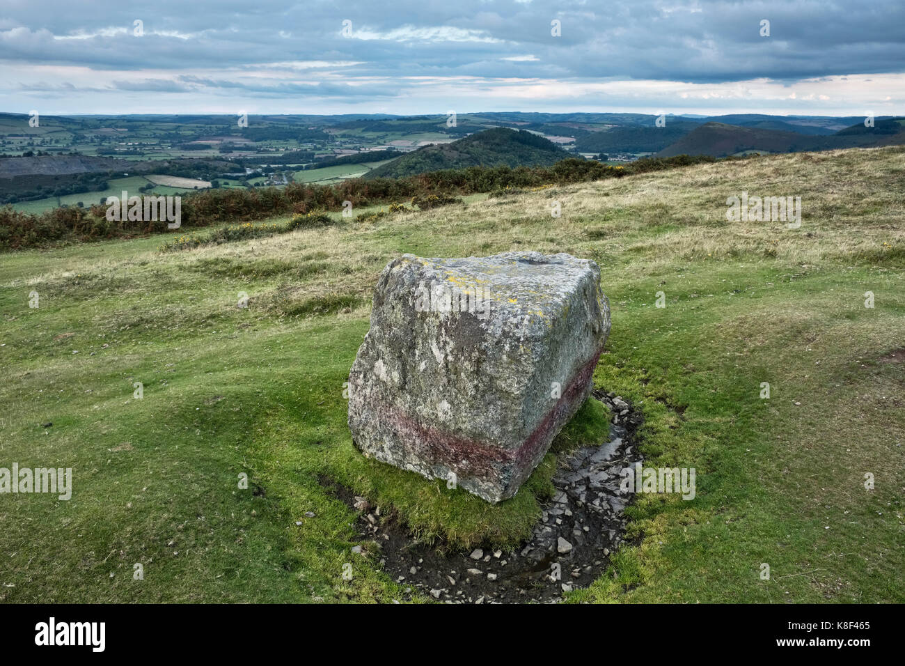 Hergest Ridge, Kington, Herefordshire, Angleterre. La pierre à aiguiser (blé) sur l'Offa's Dyke Path, un bloc erratique glaciaire et ancienne borne frontière Banque D'Images