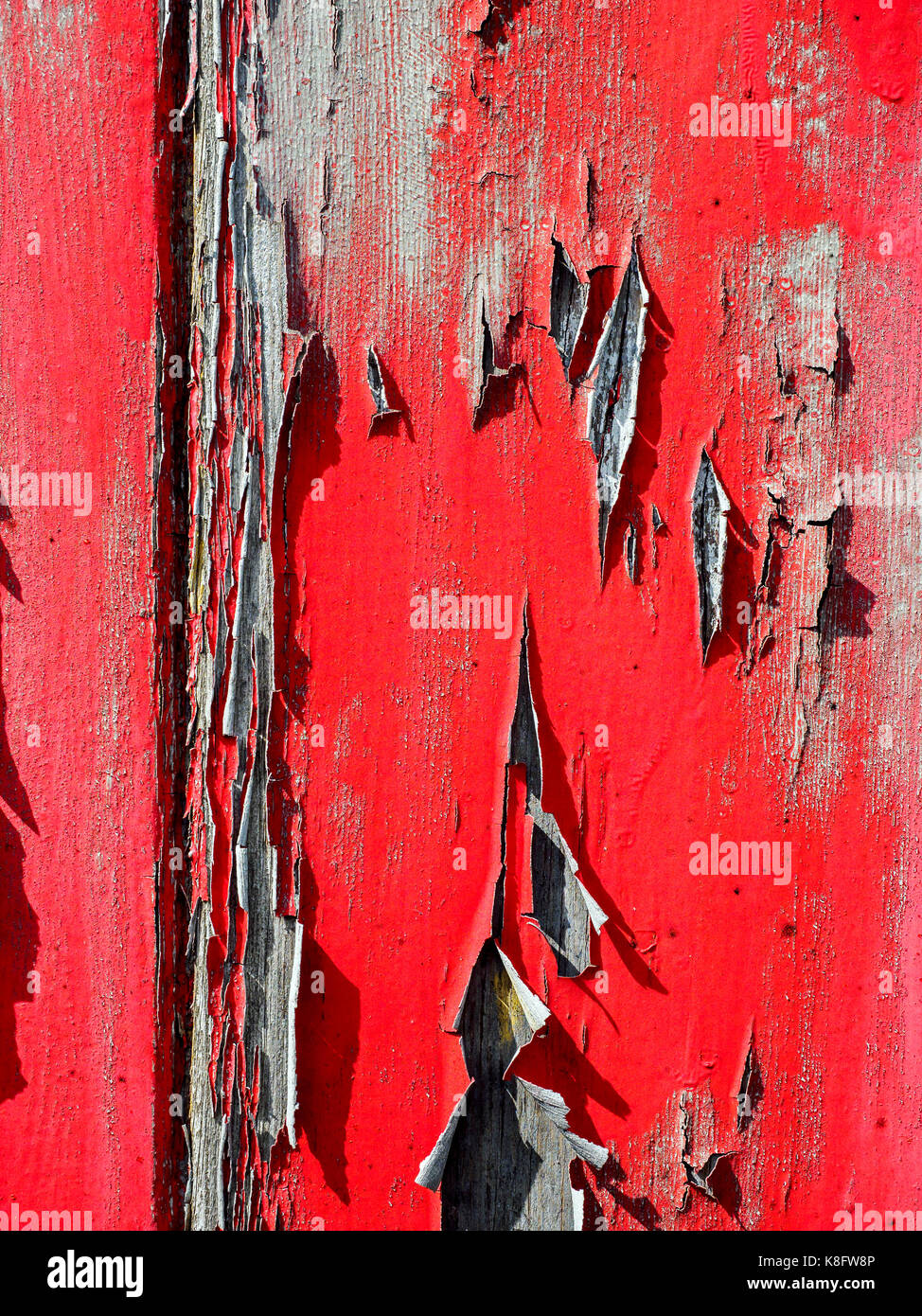 Ancien et de l'écaillement de la peinture rouge et de levage de curling un vieux hangar en bois en raison des effets de la pluie, du gel et de la lumière du soleil pendant de nombreuses années. Banque D'Images