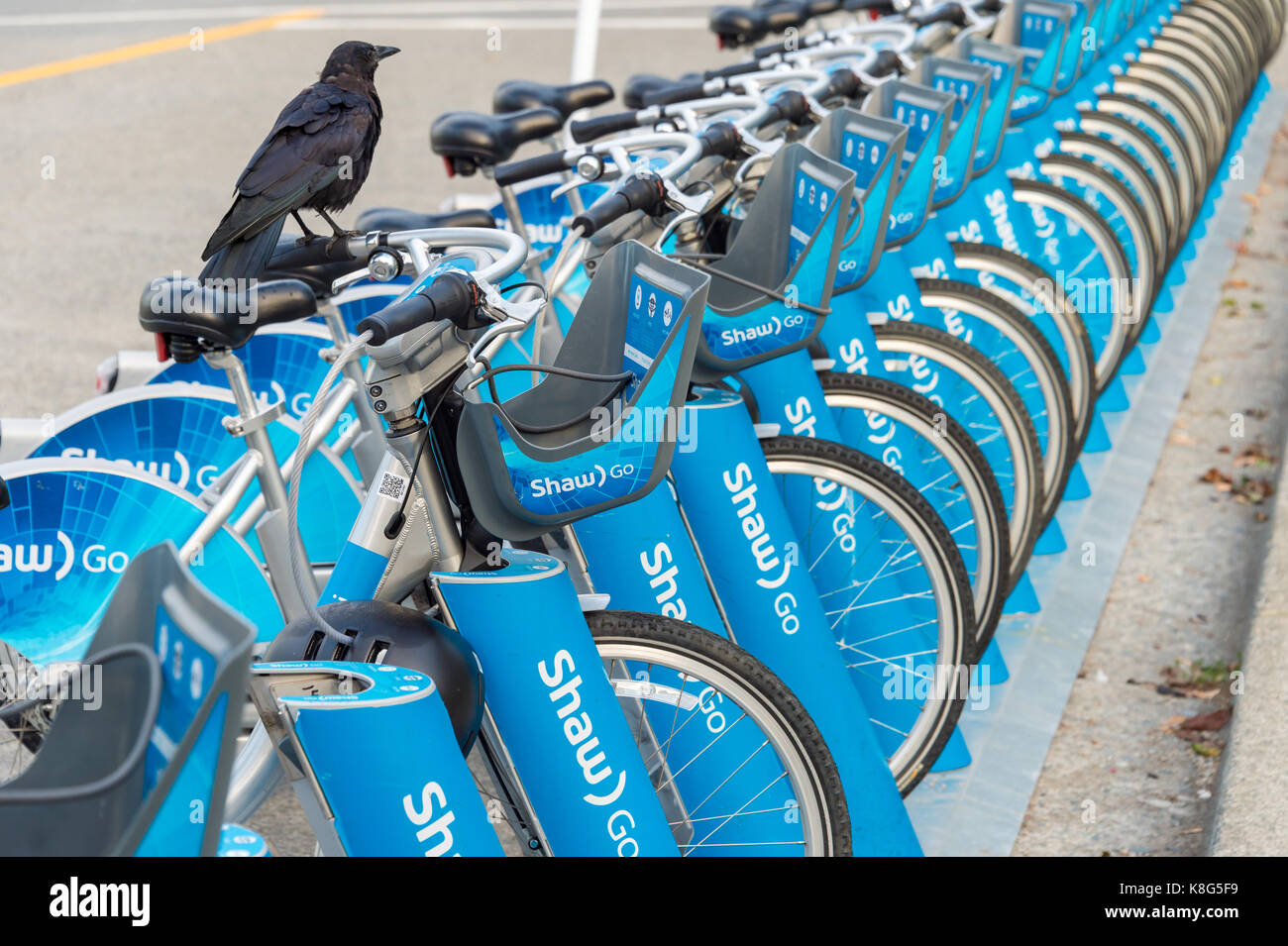 Vancouver, Colombie-Britannique, Canada - 13 septembre 2017 : par Shaw mobi rendez système vélo à Vancouver Banque D'Images