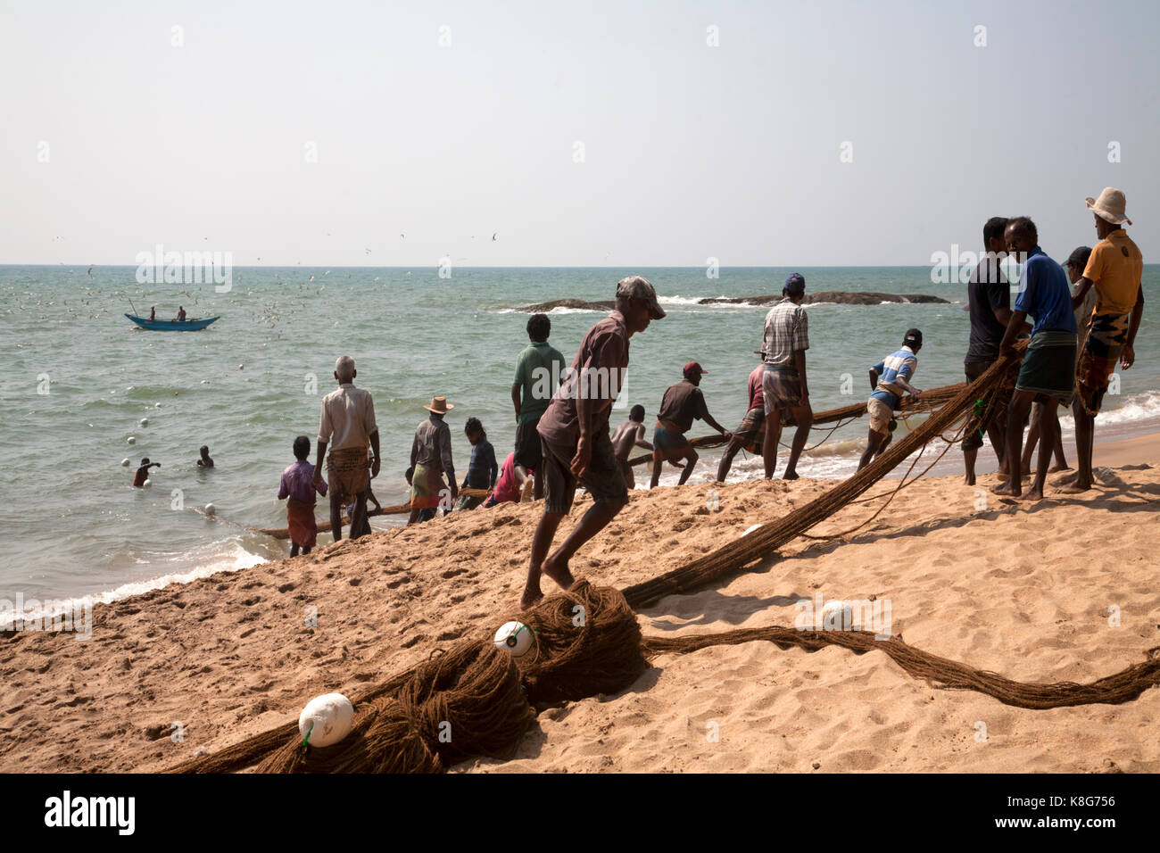 Les pêcheurs tirant plage net côte ouest western province Sri lanka Banque D'Images