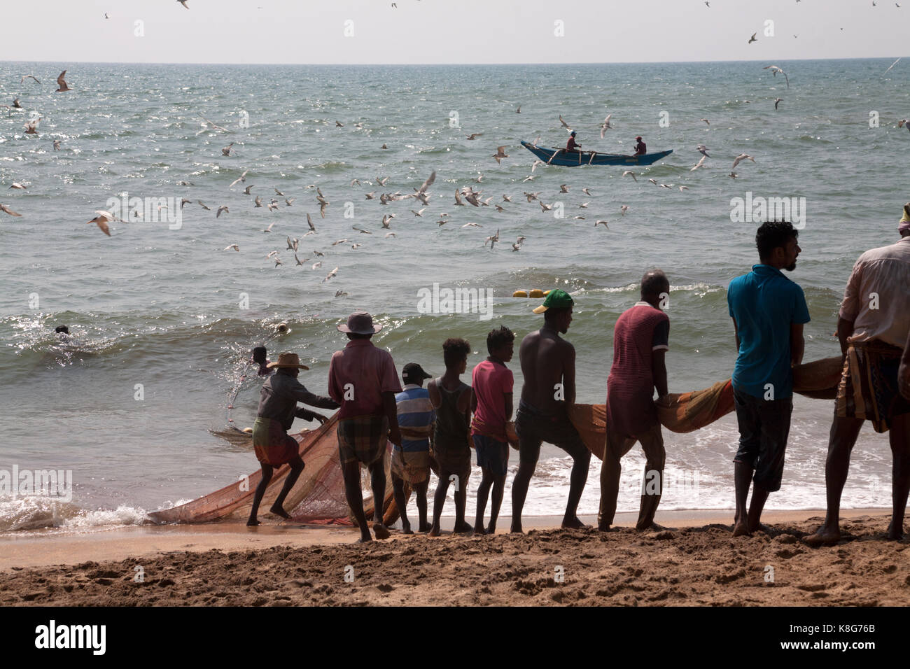 Les pêcheurs tirant plage net côte ouest western province Sri lanka Banque D'Images