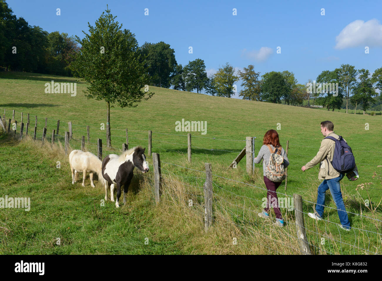 Couple de randonneurs sur un sentier dans la région appelée Pays de Caux, à Triquerville, appartenant à la ville le Parc Naturel Régional Parc Naturel Régional des Bo Banque D'Images